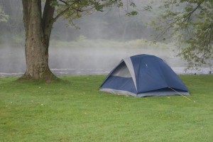 Tent camping under tree next to pond.