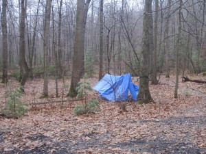 Tarps draped over a hammock in the woods.