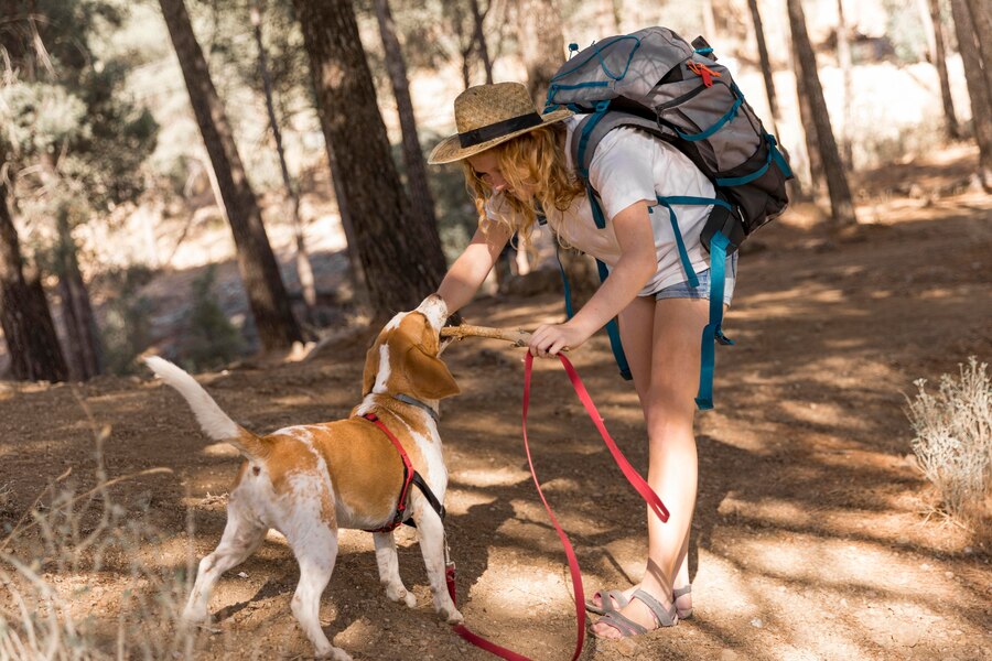 Taking Your K9 Hiking and Camping